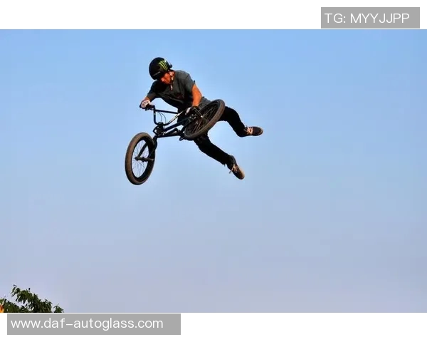 南京极限运动队的表现分析与控制策略的得失探讨